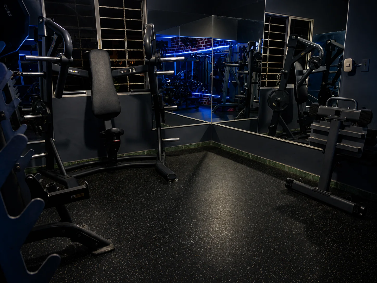 Zona de fuerza de Fitness Factory